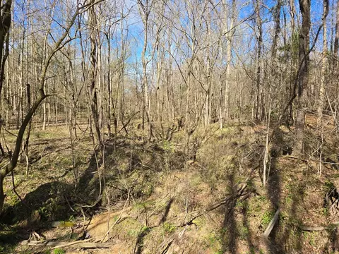 1732 Julius Gibbs Rd, Lorman, MS 39096 photo 3