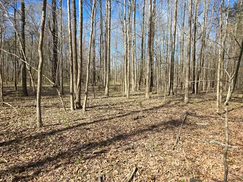 1732 Julius Gibbs Rd, Lorman, MS 39096 photo 10