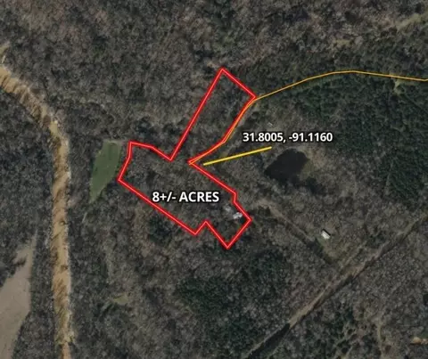 1732 Julius Gibbs Rd, Lorman, MS 39096 photo 18