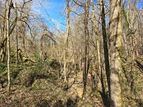 1732 Julius Gibbs Rd, Lorman, MS 39096 photo 7
