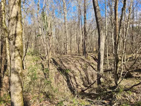 1732 Julius Gibbs Rd, Lorman, MS 39096 photo 6
