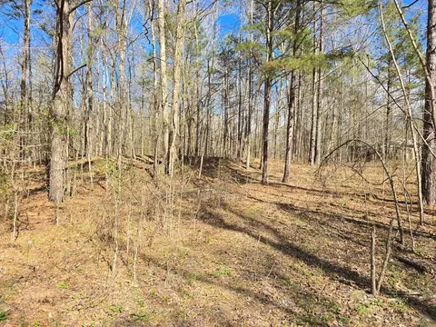 1732 Julius Gibbs Rd, Lorman, MS 39096 photo 2