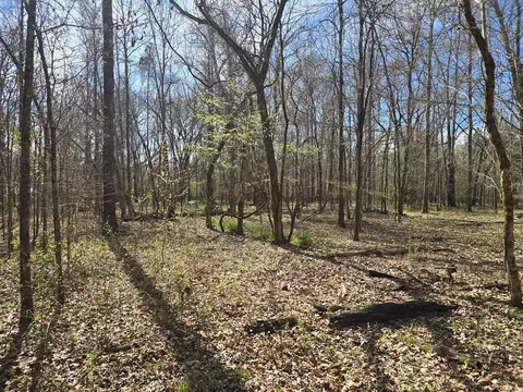 1732 Julius Gibbs Rd, Lorman, MS 39096 photo 13