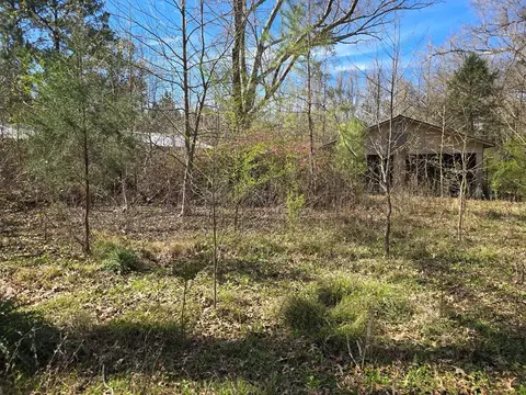1732 Julius Gibbs Rd, Lorman, MS 39096 photo 14