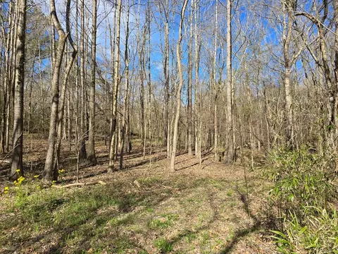 1732 Julius Gibbs Rd, Lorman, MS 39096 photo 4