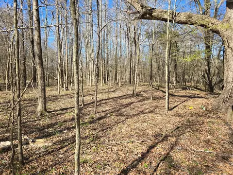 1732 Julius Gibbs Rd, Lorman, MS 39096 photo 9
