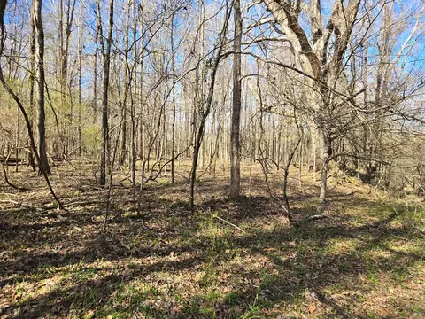 1732 Julius Gibbs Rd, Lorman, MS 39096 photo 8