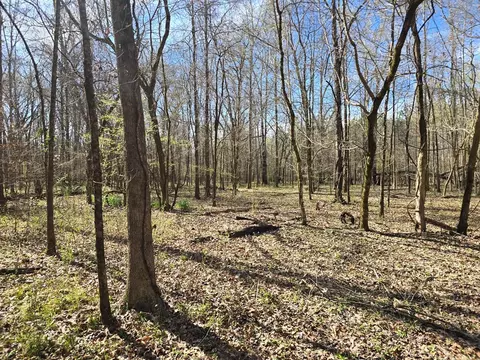 1732 Julius Gibbs Rd, Lorman, MS 39096 photo 12