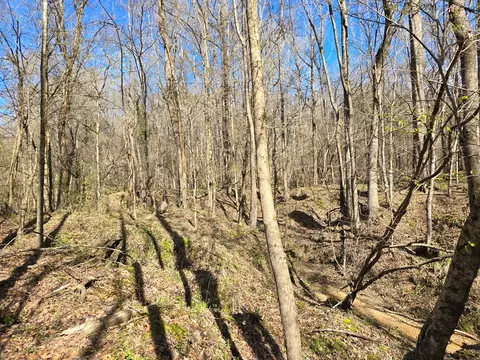 1732 Julius Gibbs Rd, Lorman, MS 39096 photo 5