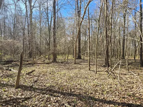 1732 Julius Gibbs Rd, Lorman, MS 39096 photo 11
