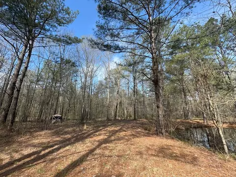 737 Smith Ferry Rd, Sontag, MS 39665 photo 20