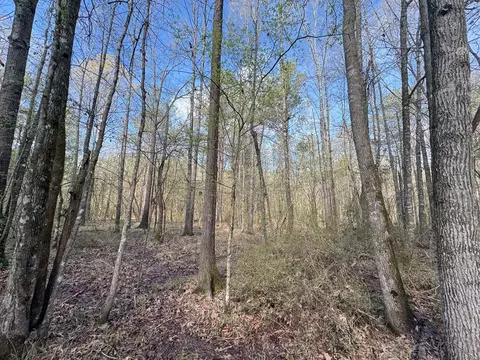 737 Smith Ferry Rd, Sontag, MS 39665 photo 36
