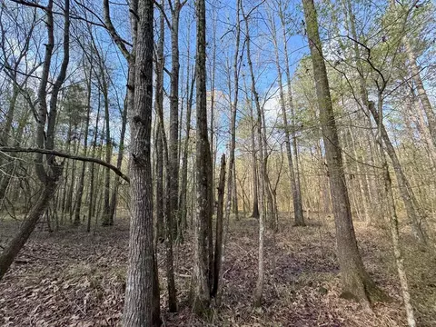 737 Smith Ferry Rd, Sontag, MS 39665 photo 35