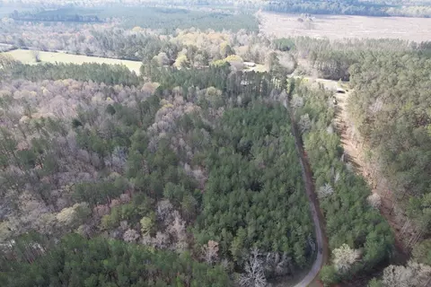 737 Smith Ferry Rd, Sontag, MS 39665 photo 16