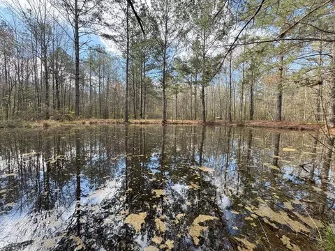 737 Smith Ferry Rd, Sontag, MS 39665 photo 25