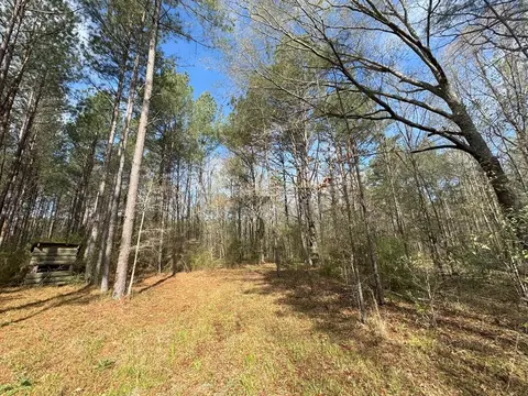 737 Smith Ferry Rd, Sontag, MS 39665 photo 21