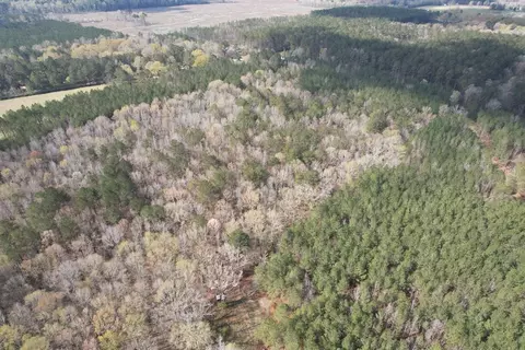 737 Smith Ferry Rd, Sontag, MS 39665 photo 15