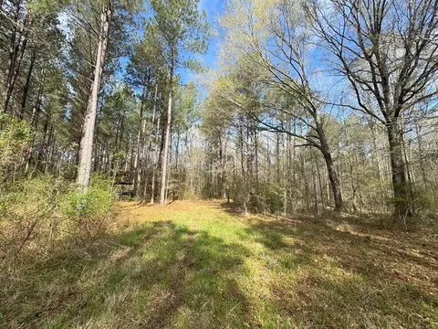 737 Smith Ferry Rd, Sontag, MS 39665 photo 23
