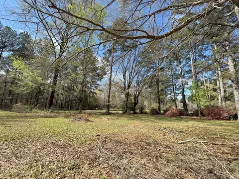 737 Smith Ferry Rd, Sontag, MS 39665 photo 33