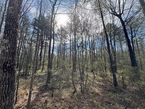 737 Smith Ferry Rd, Sontag, MS 39665 photo 34
