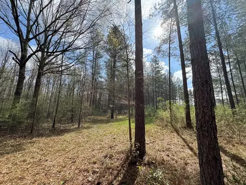 737 Smith Ferry Rd, Sontag, MS 39665 photo 41