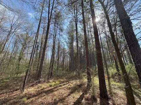 737 Smith Ferry Rd, Sontag, MS 39665 photo 32