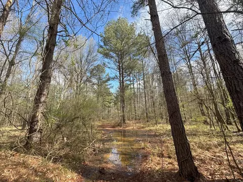 737 Smith Ferry Rd, Sontag, MS 39665 photo 27