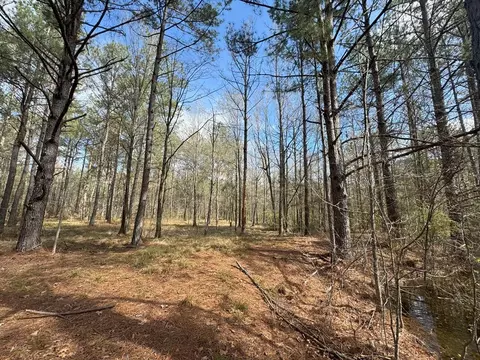737 Smith Ferry Rd, Sontag, MS 39665 photo 22