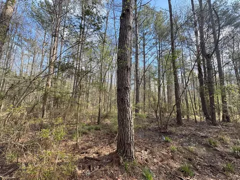 737 Smith Ferry Rd, Sontag, MS 39665 photo 24