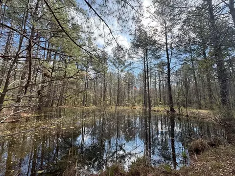 737 Smith Ferry Rd, Sontag, MS 39665 photo 30