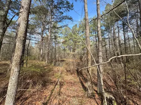 737 Smith Ferry Rd, Sontag, MS 39665 photo 28
