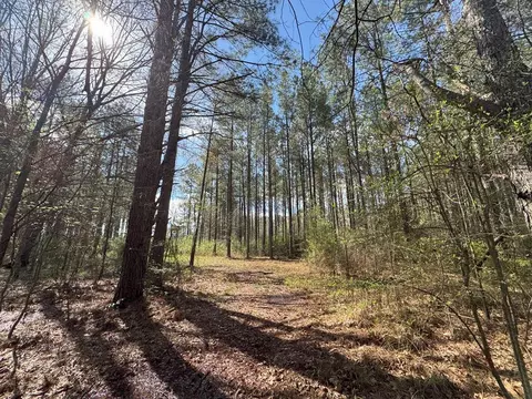 737 Smith Ferry Rd, Sontag, MS 39665 photo 37