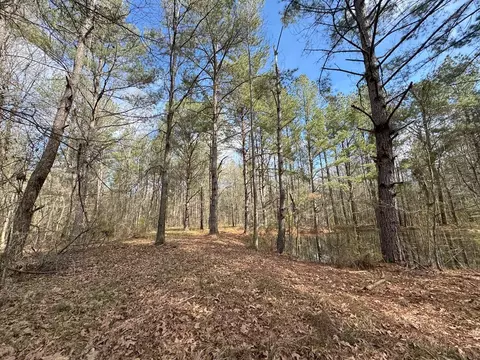 737 Smith Ferry Rd, Sontag, MS 39665 photo 31