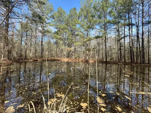 737 Smith Ferry Rd, Sontag, MS 39665 photo 26