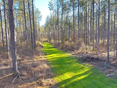 ... Burris Road, Smithdale, MS 39664 photo 4