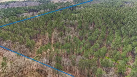 ... Burris Road, Smithdale, MS 39664 photo 14