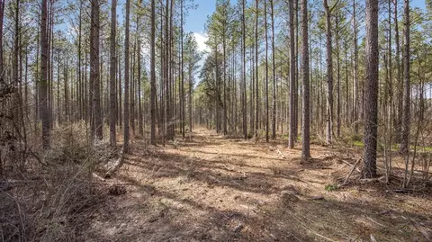 ... Burris Road, Smithdale, MS 39664 photo 9