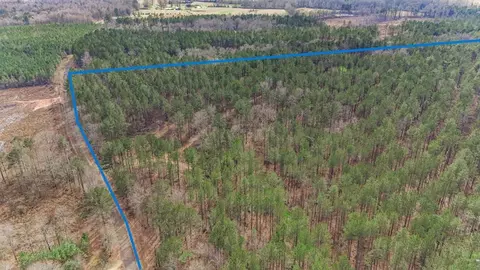 ... Burris Road, Smithdale, MS 39664 photo 15