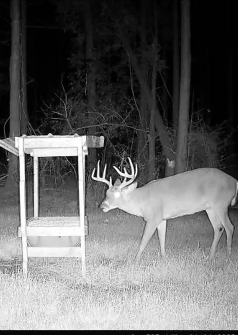 ... Burris Road, Smithdale, MS 39664 photo 26