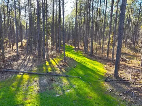... Burris Road, Smithdale, MS 39664 photo 5