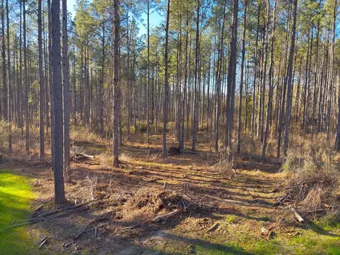 ... Burris Road, Smithdale, MS 39664 photo 6