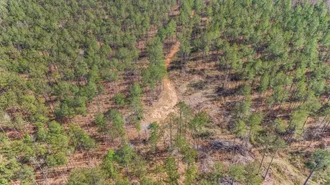 ... Burris Road, Smithdale, MS 39664 photo 11