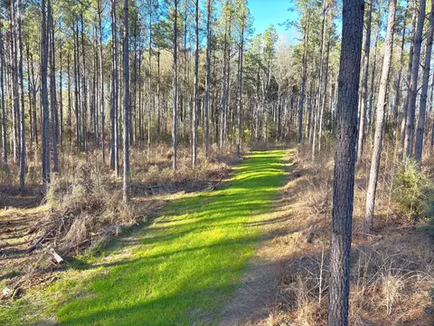 ... Burris Road, Smithdale, MS 39664 photo 3