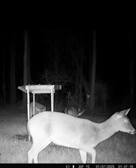 ... Burris Road, Smithdale, MS 39664 photo 25