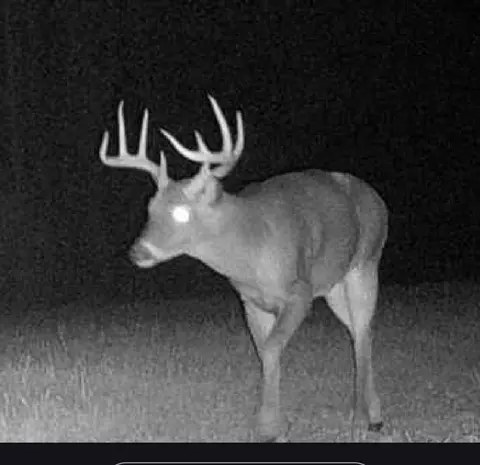 ... Burris Road, Smithdale, MS 39664 photo 21