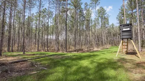 ... Burris Road, Smithdale, MS 39664