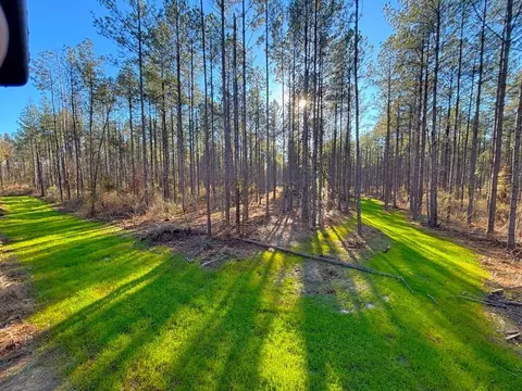 ... Burris Road, Smithdale, MS 39664 photo 7