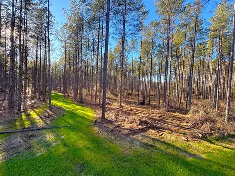 ... Burris Road, Smithdale, MS 39664 photo 8