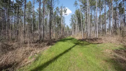 ... Burris Road, Smithdale, MS 39664 photo 2