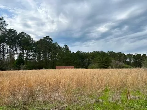 431 Bass Burkett Rd, Carson, MS 39427